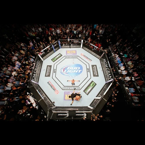 MMA CAGE RENTAL With Customization