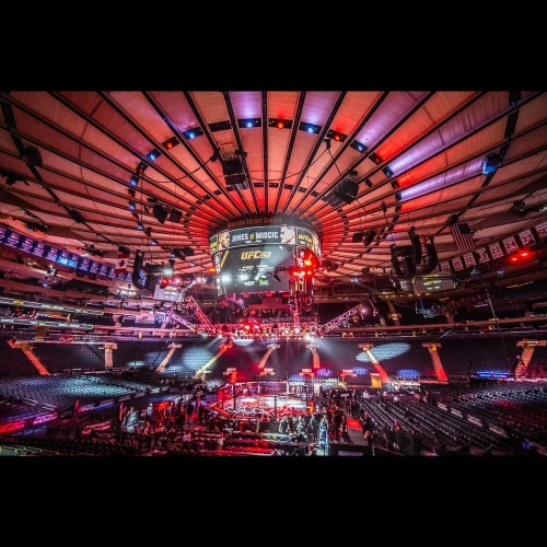 30' X 30' OCTAGON MMA CAGE RENTAL