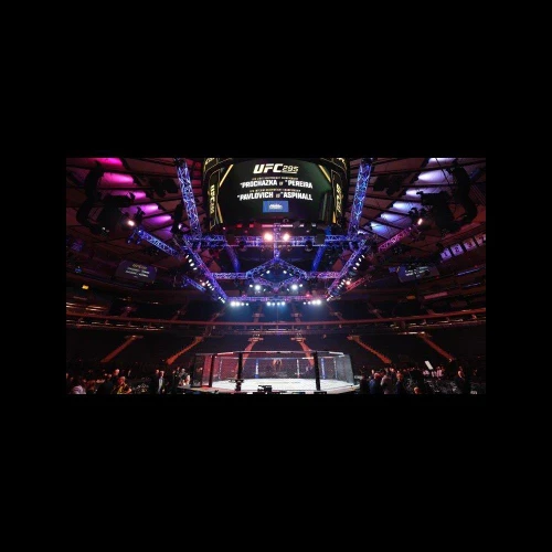 30' X 30' OCTAGON MMA CAGE