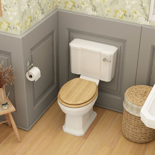 Distinct Bassenthwaite Standard Height Open Back Close Coupled Pan (Pan Only)