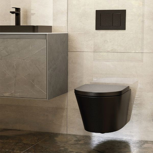 Distinct Baltic Rimless Wall Hung Pan (Pan Only)