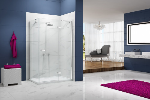 Distinct 8 Frameless Hinged Door And Inline Panel Corner 1000x2000