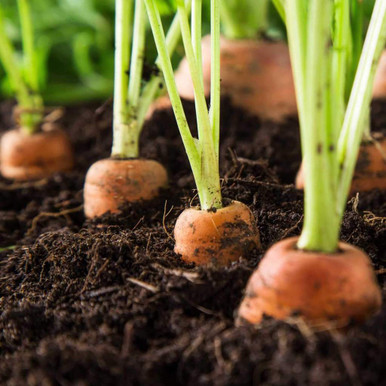 Further photograph of Dandys Vege Grow Topsoil, Brown, 850kg Bulk Bag