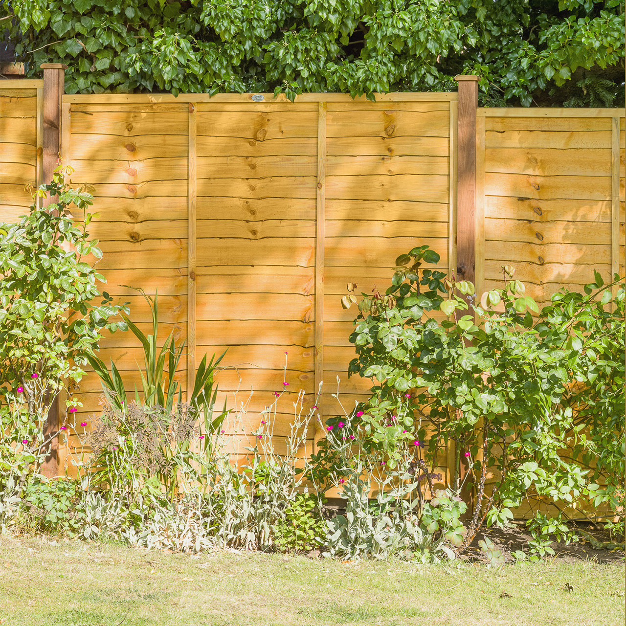 Photograph of Grange Golden Brown Lap Fence Panel 1830mm x 1830mm 6' x 6