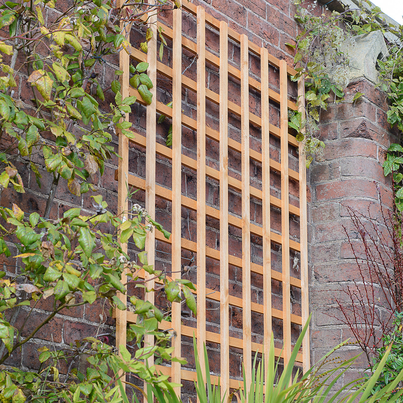 Photograph of Grange Heavy Duty Square Trellis 1.2m Golden Brown