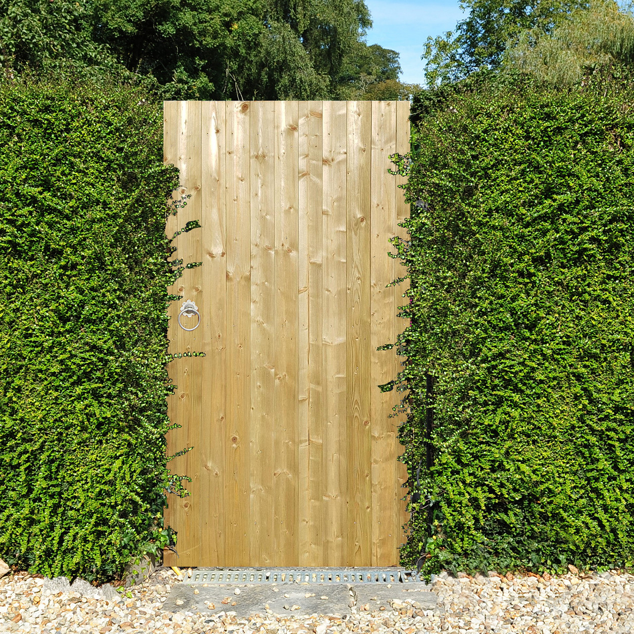 Photograph of Priory Flat Pedestrian Side Gate 3' x 5'7" (90cm x 176cm)