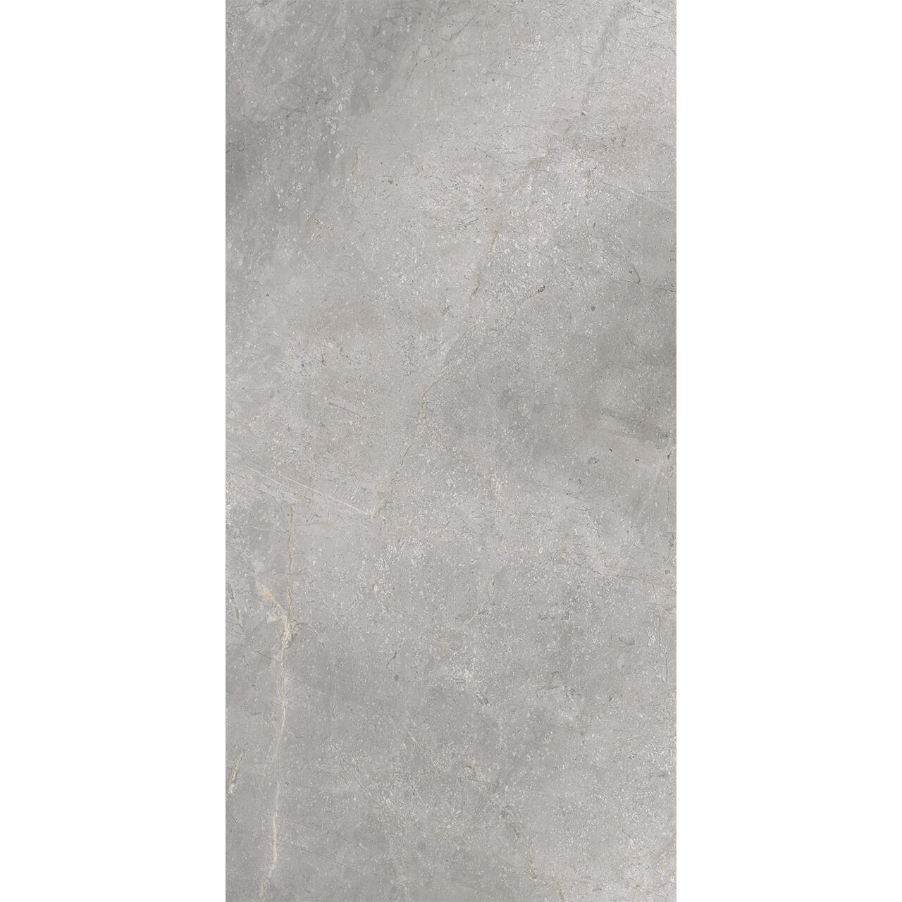 Photograph of 60x120cm Masterstone Silver XL tile