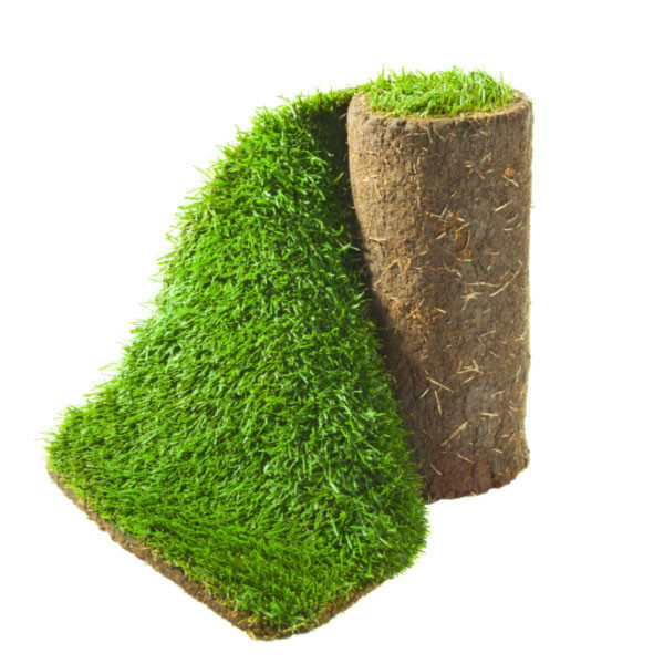 Photograph of Garden Turf (per m2)