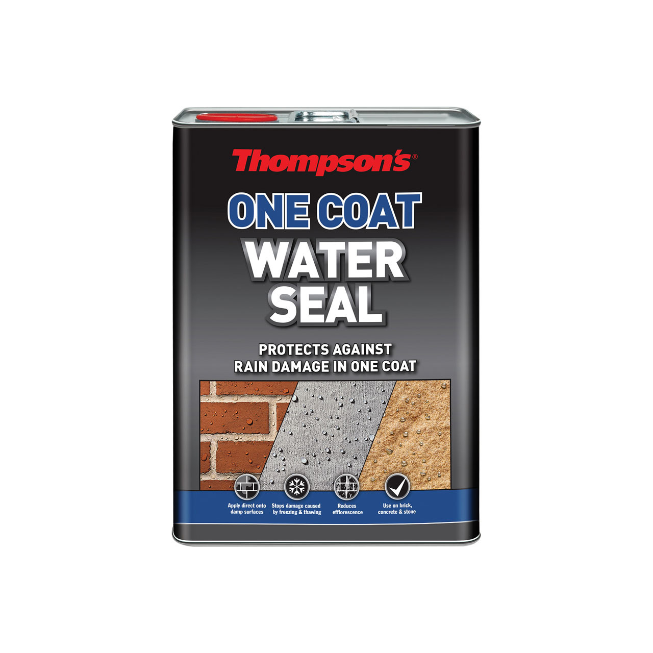 Photograph of Thompson's One Coat Water Seal 5 litre