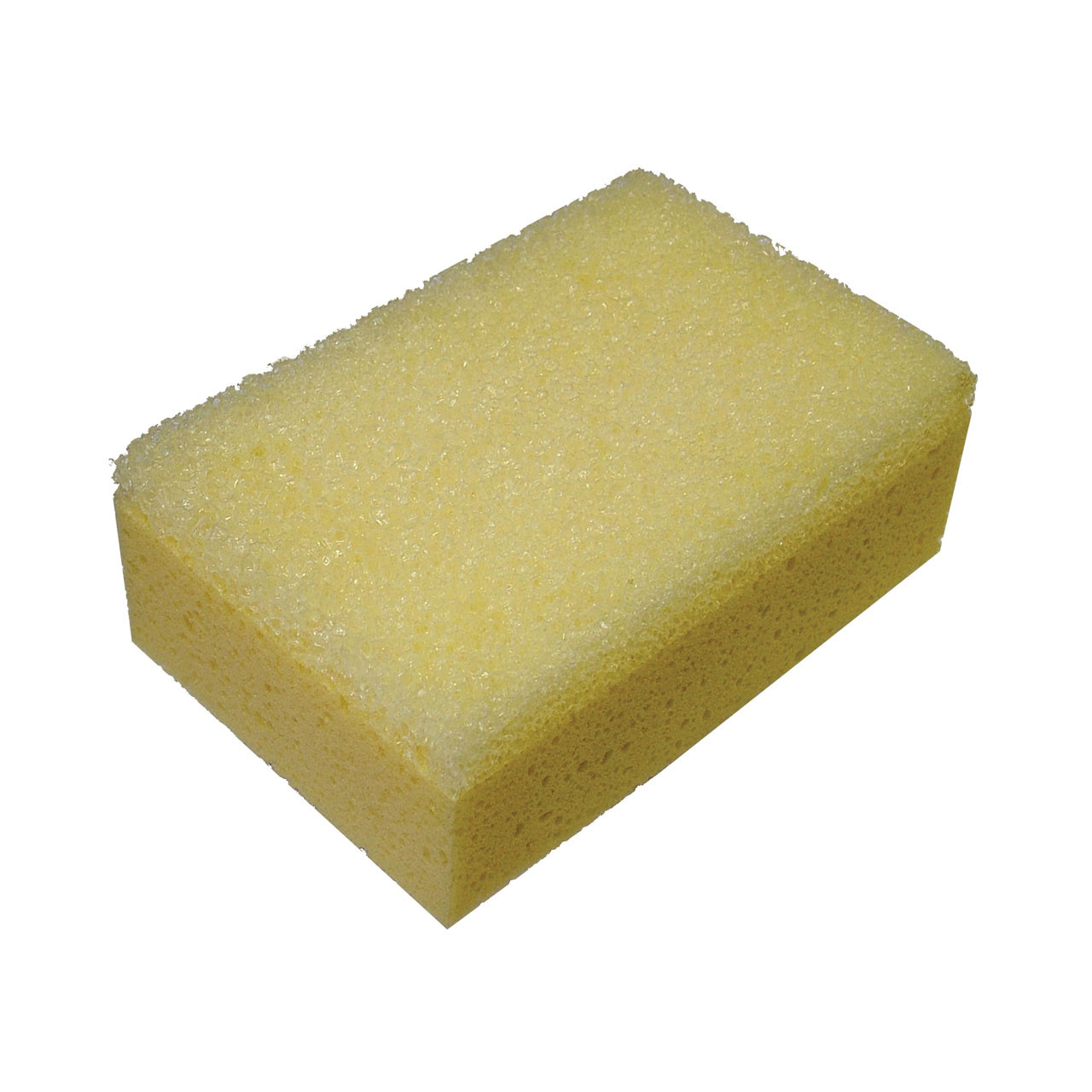 Photograph of Professional Hydro Grouting Sponge