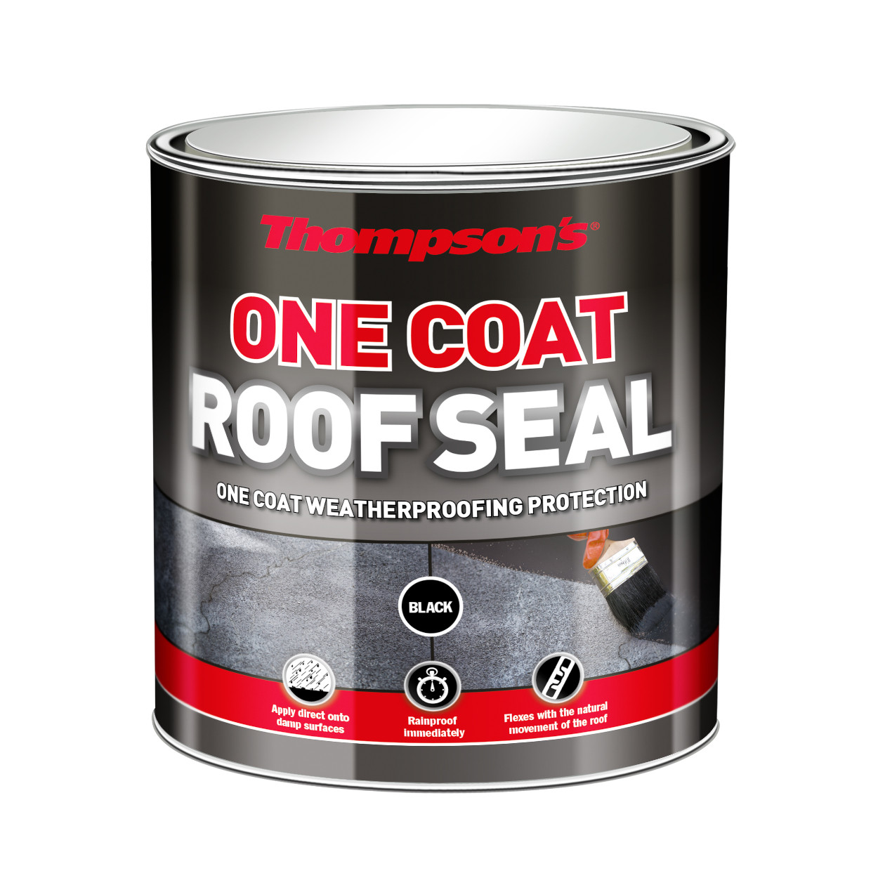 Photograph of Thompson's One Coat Roof Seal Black 5L