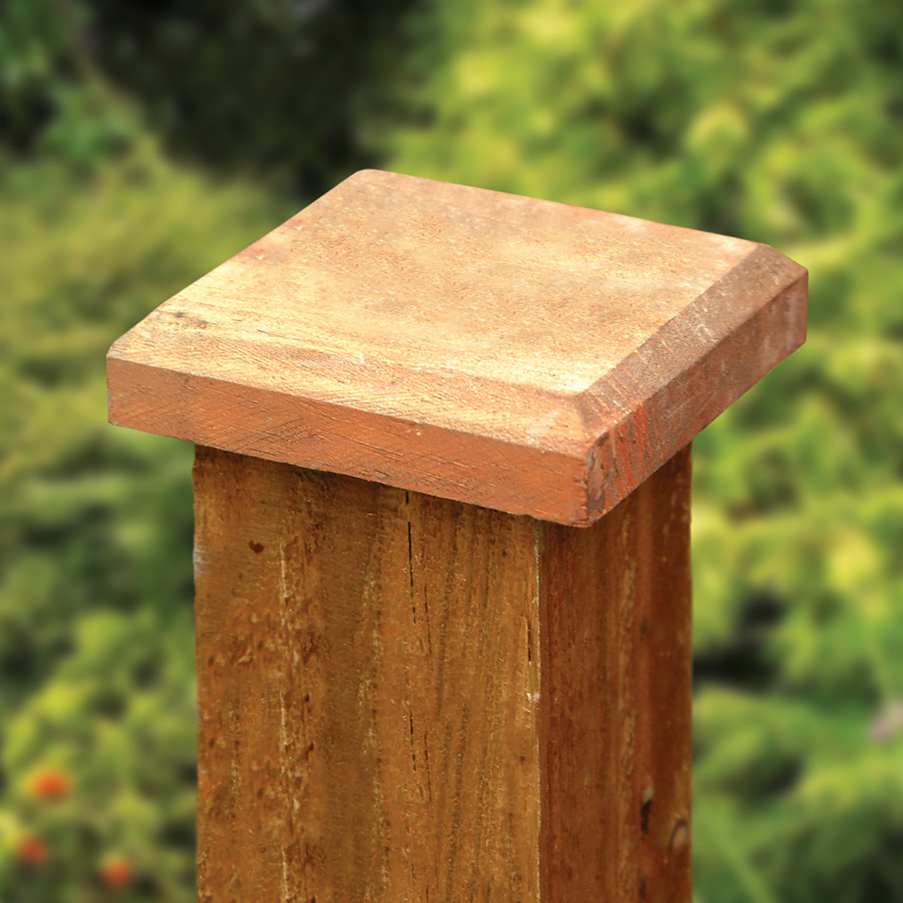 Product Image Zoom -1