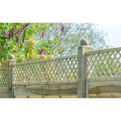 Product Image -1