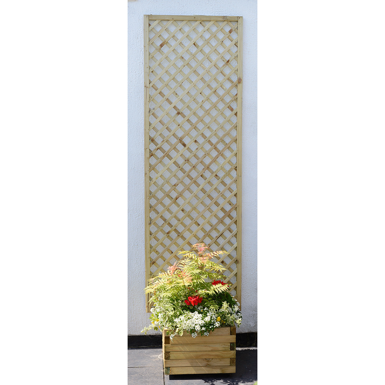 Product Image Zoom -1