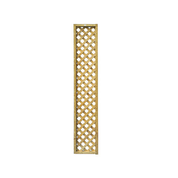 Product Image Zoom -1