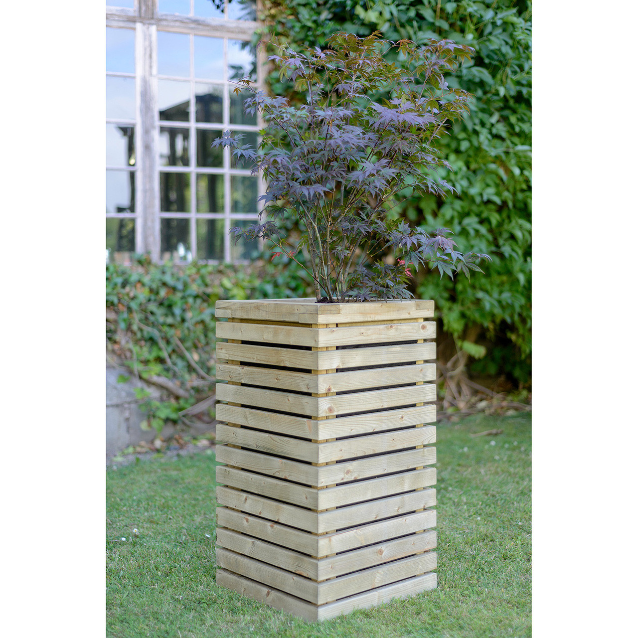 Product Image Zoom -1