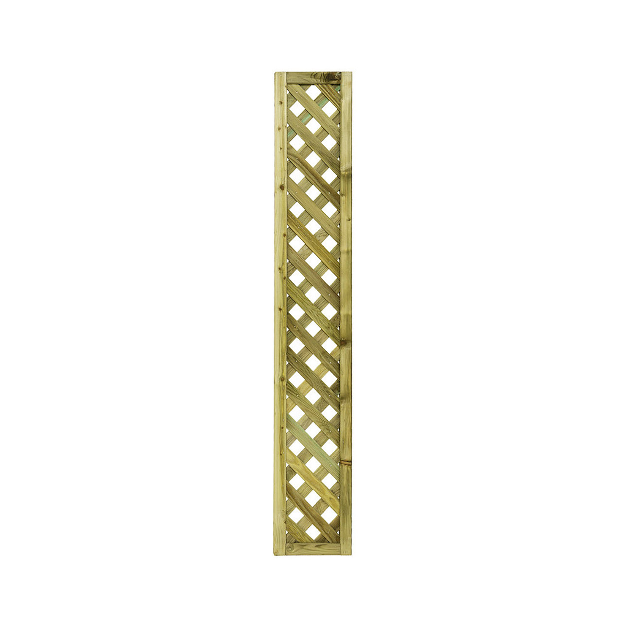 Product Image Zoom -1