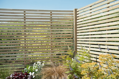 Product Image -1