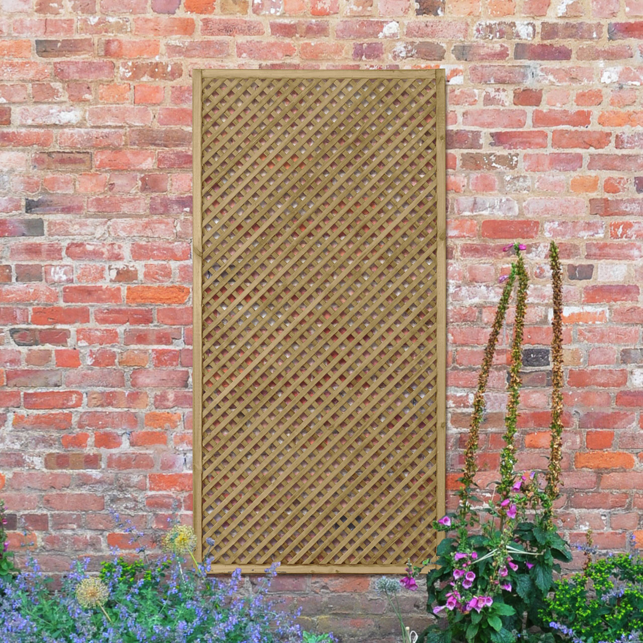 Product Image Zoom -1