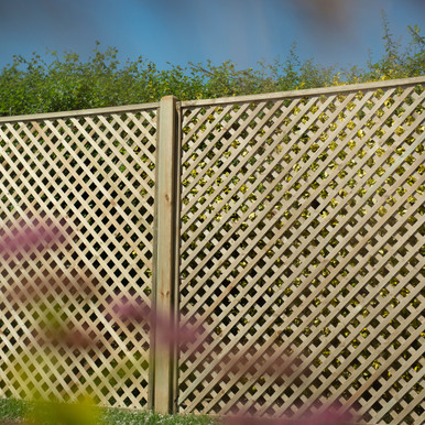 Forest Garden Rosemore Lattice 1800mm x 1800mm (6 x 6) - Pack of 3 product image