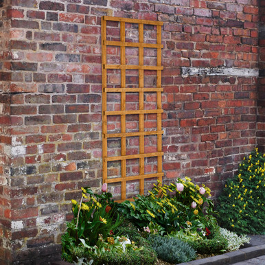 Forest Garden Heavy Duty Trellis 609mm x 1830mm (2 x 6) - Pack of 4 product image