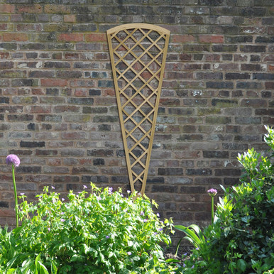 Product Image -1