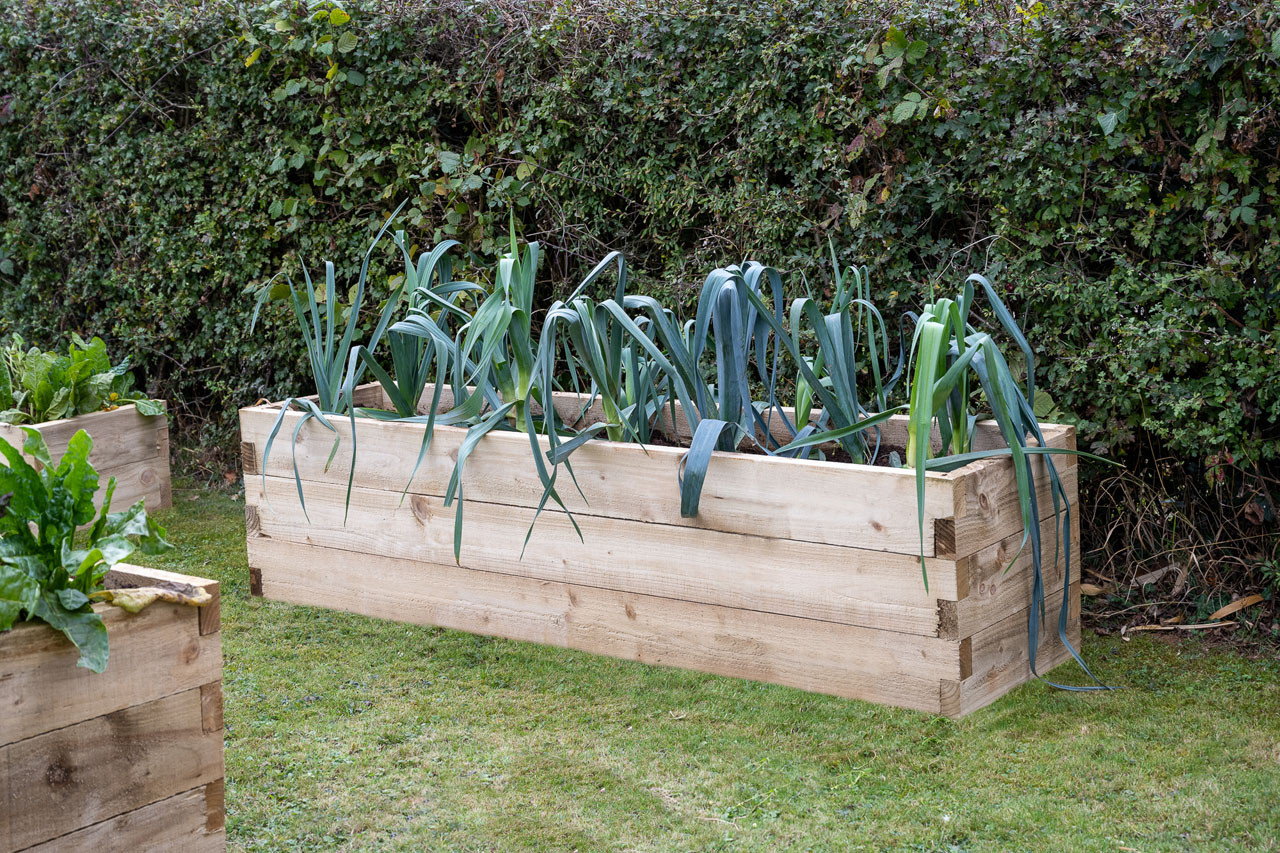 Photograph of Forest Garden Caledonian Trough Raised Bed 160mm x 280mm x 1800mm