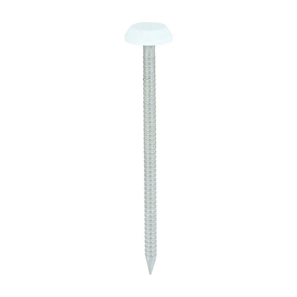 Photograph of Polymer Headed Nails - A4 Stainless Steel - White - 65mm