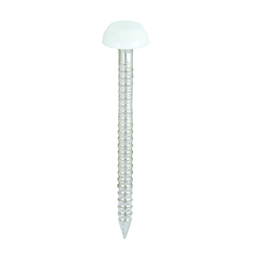 Photograph of Polymer Headed Pins - A4 Stainless Steel - White - 30mm