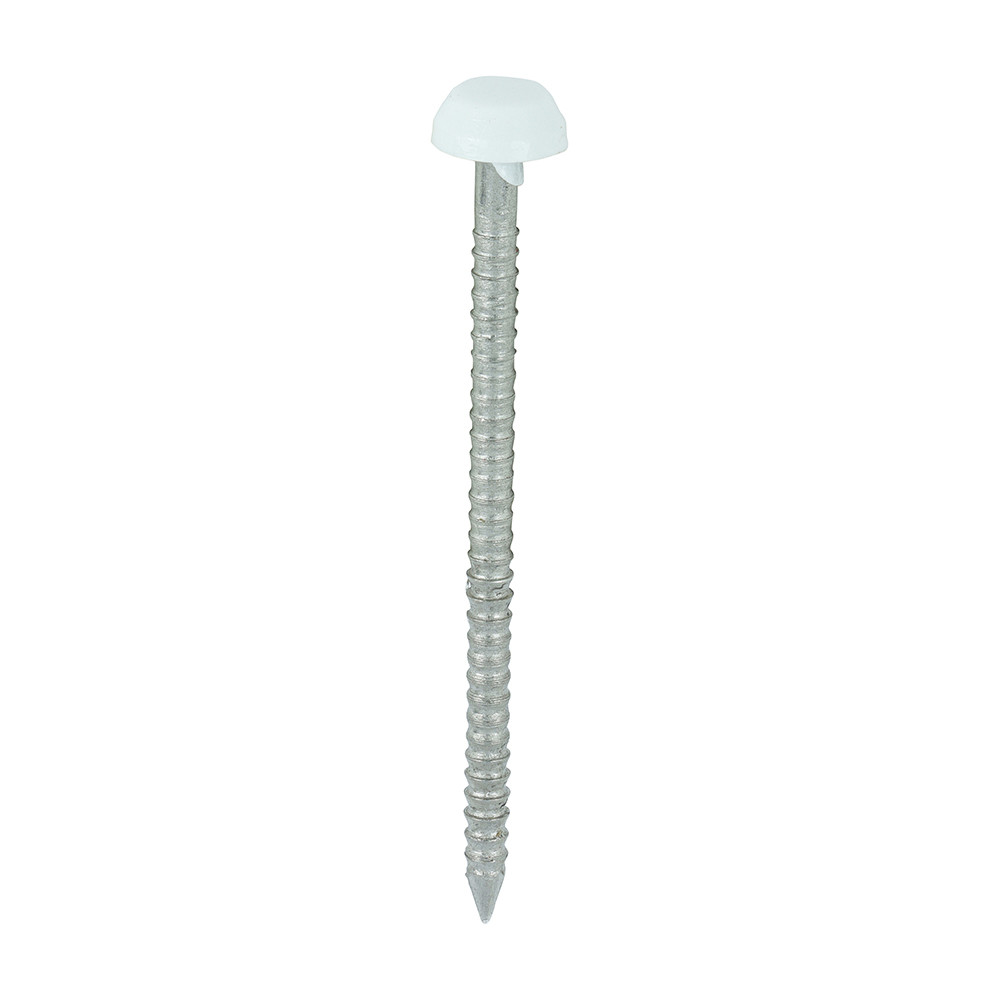 Photograph of Polymer Headed Pins - A4 Stainless Steel - White - 40mm