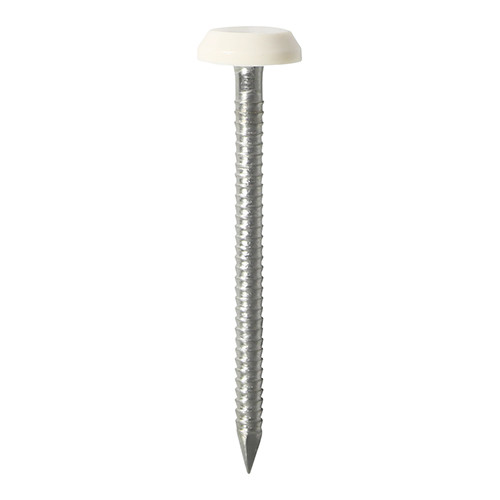 Photograph of Polymer Headed Nails - A4 Stainless Steel - White - 50mm