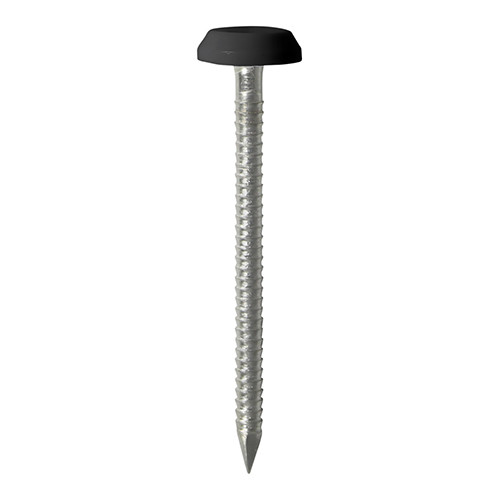 Photograph of Polymer Headed Nails - A4 Stainless Steel - Black