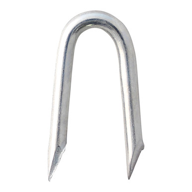 Presser Point Staples - Galvanised 40 X 4mm - 1KG