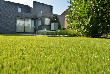 Further photograph of SOFTY (38MM) LOW MAINTENANCE ARTIFICIAL GRASS 5M WIDTH