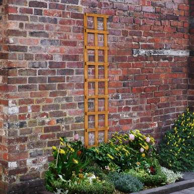 Heavy Duty Trellis - 183 x 30cm - Pack of 10 (Home Delivery) product image