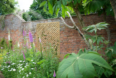 Rosemore Lattice - 180 x 120cm - Pack of 10 (Home Delivery) product image