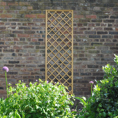 Hidcote Lattice - 180 x 60cm - Pack of 10 (Home Delivery) product image