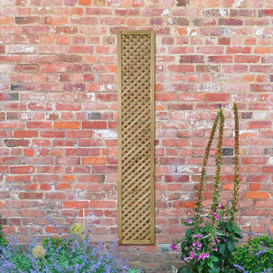 Product Image -1