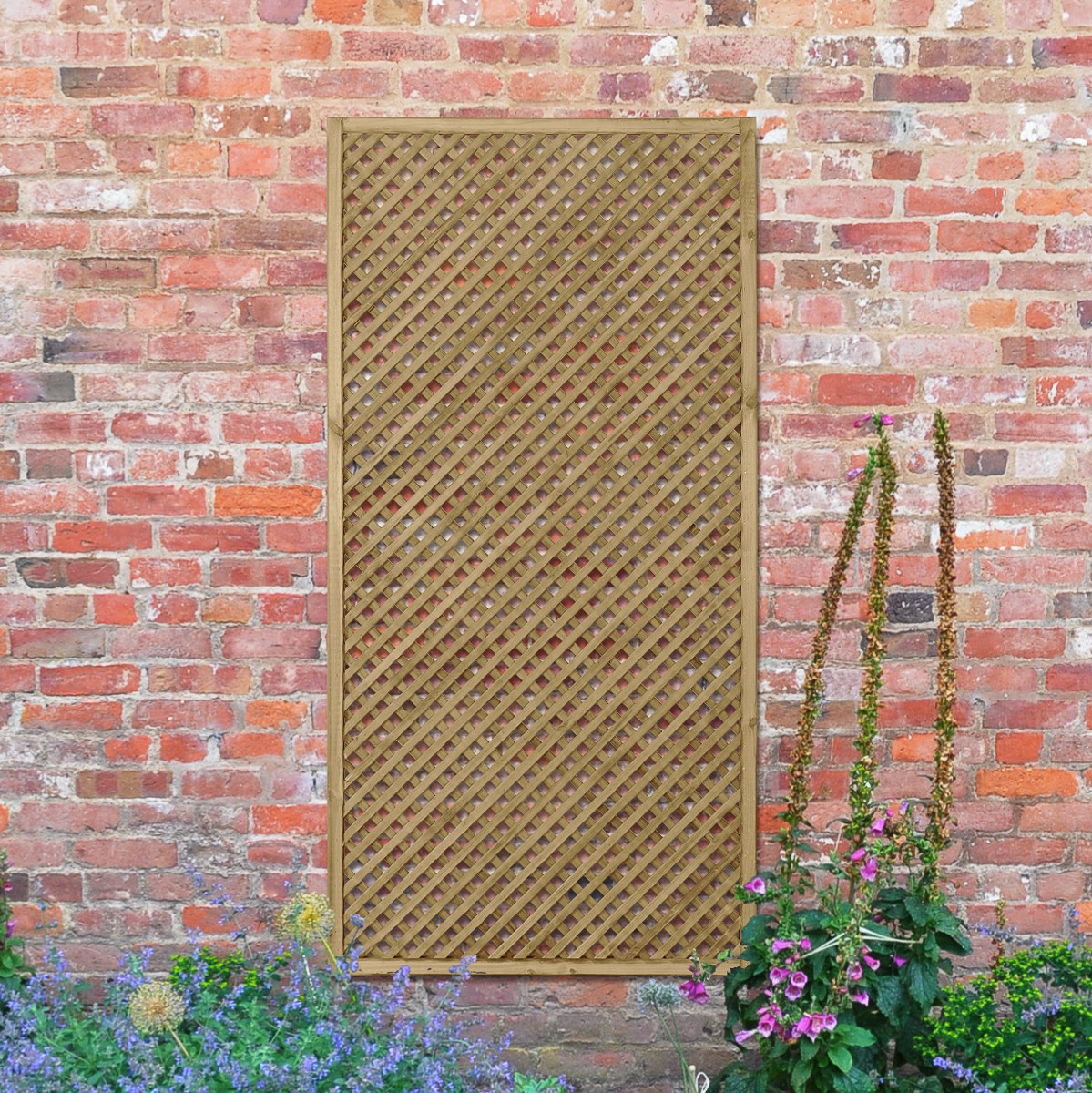 Product Image Zoom -1