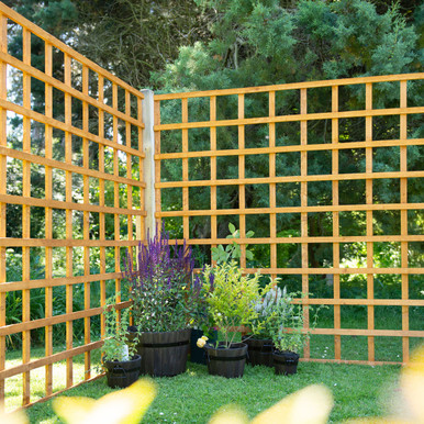 Product Image -1