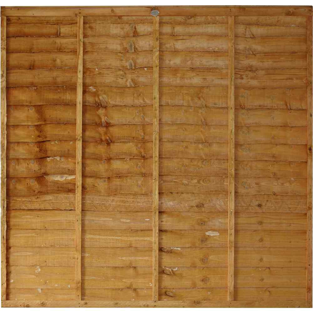 Product Image Zoom -1