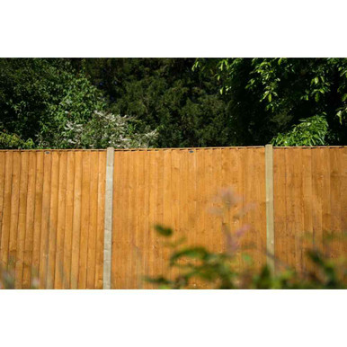 Product Image -1