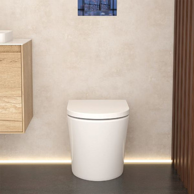 Distinct Baltic Standard Height Back To Wall Pan (Pan Only) product image