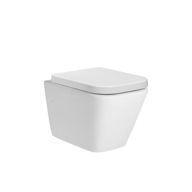 Distinct Tasman Wall Hung Pan (Pan Only) product image