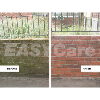 Product Image -1