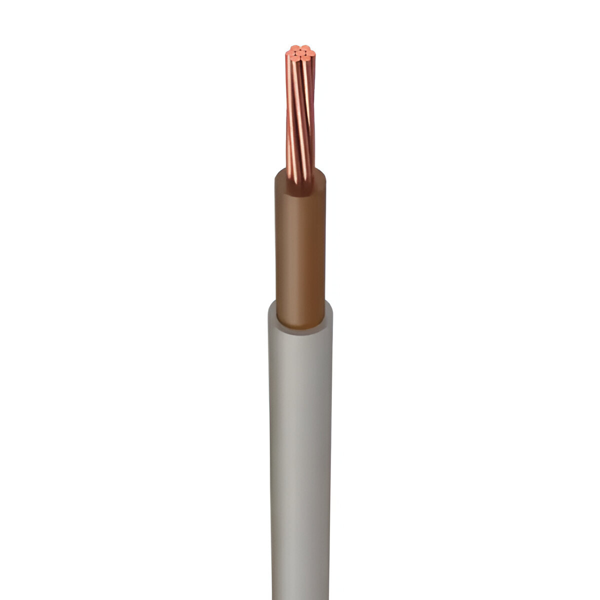 Product Image Zoom -1