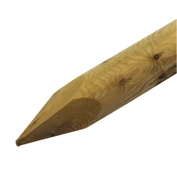 Product Image Zoom -1