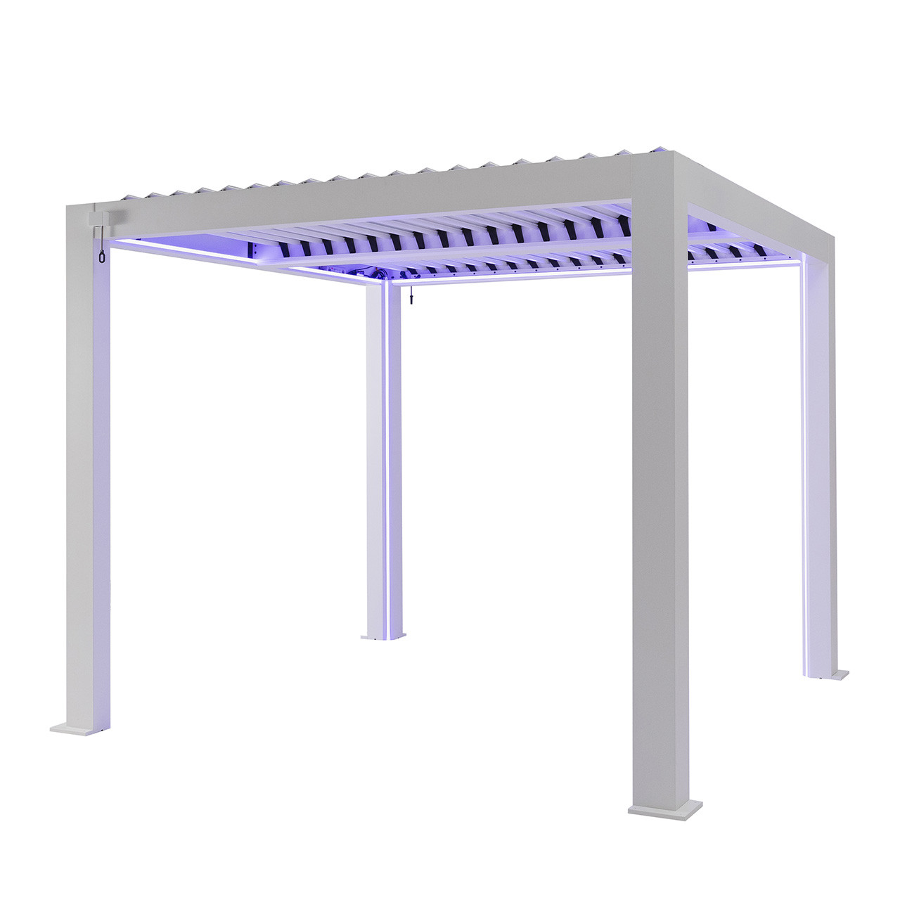 Product Image Zoom -1