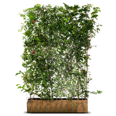 Mobilane Green Screen Eco product image