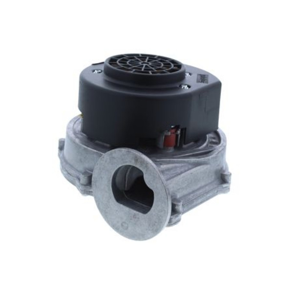 Product Image Zoom -1